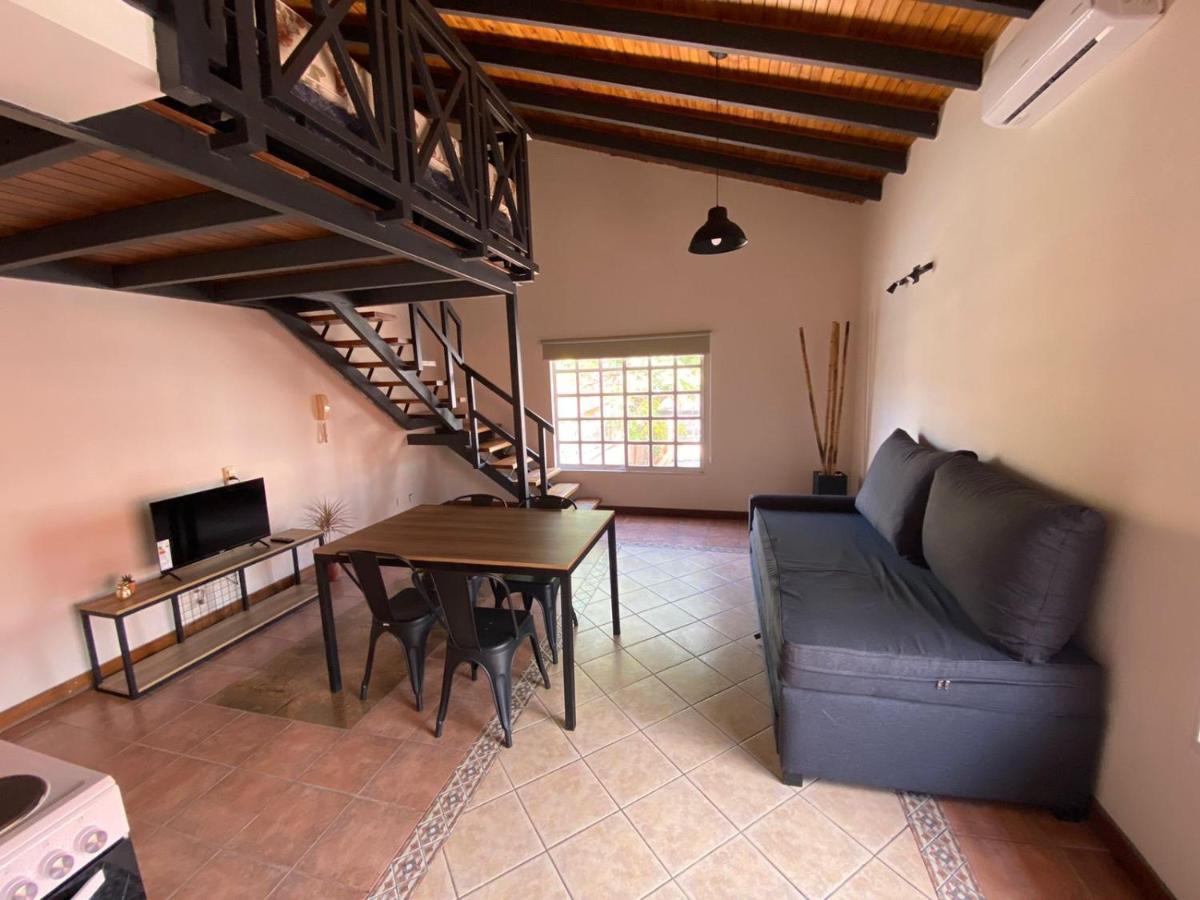 Luxury Loft Apartment Mendoza Exterior photo
